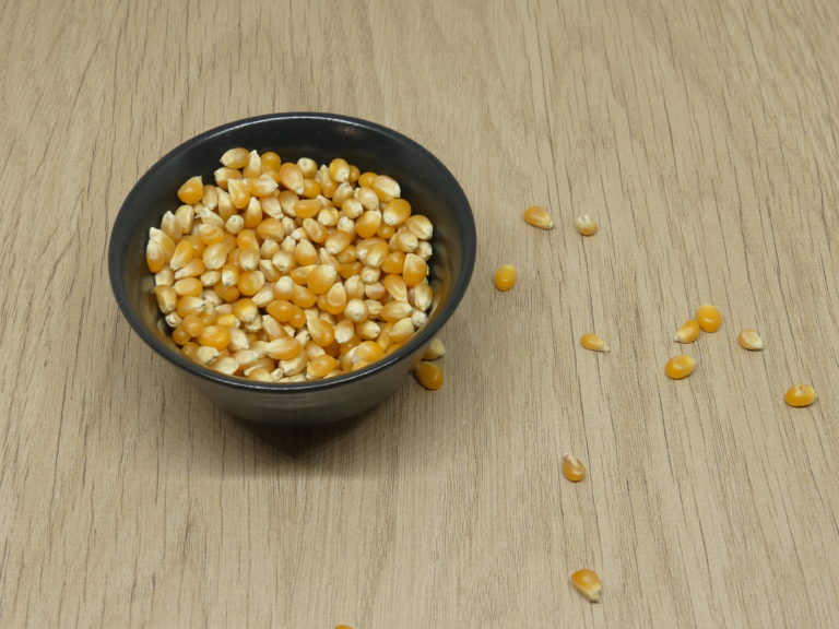 Graines Bio à Semer - Maïs True Gold- Association Kokopelli - Foto 9