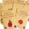Mini kit de graines de radis bio – Image 4