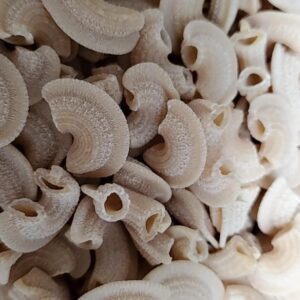 Pâte artisanale nature coquis "crêtes de coq" - locale